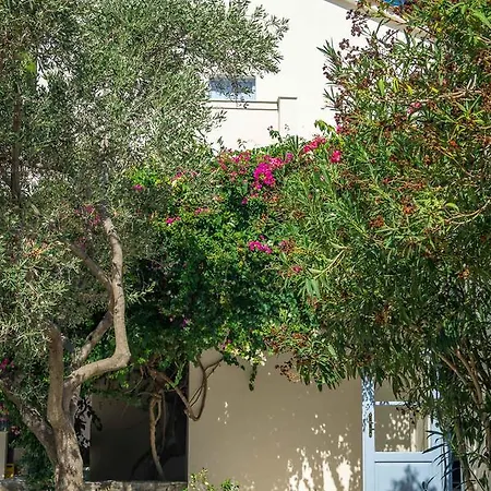 阿尔莫尼亚海湾酒店 酒店 4*