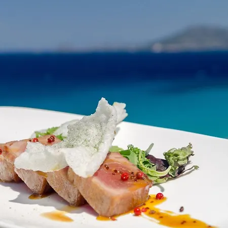 Armonia Bay Kokkari